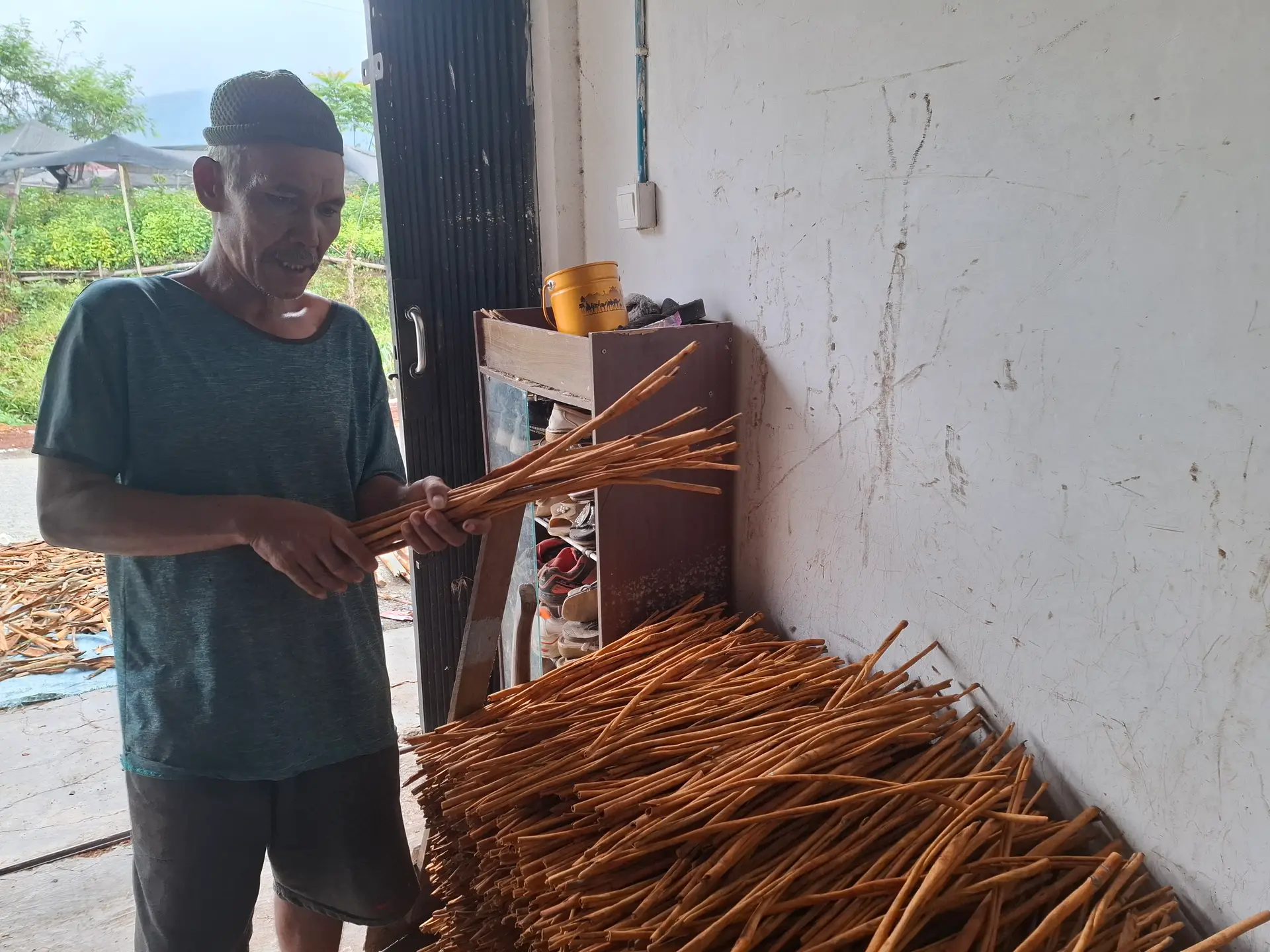 Local farmer holding cinnamon tree barks in the processing facility.